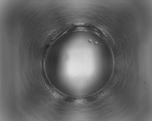 X0000060220505200510281111