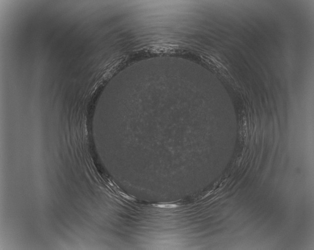 X0000060220508200510281111
