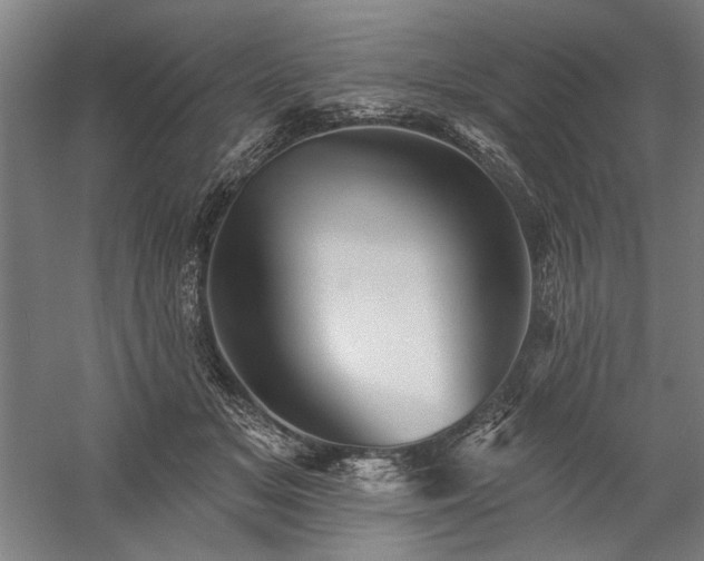 X0000060220509200510281111