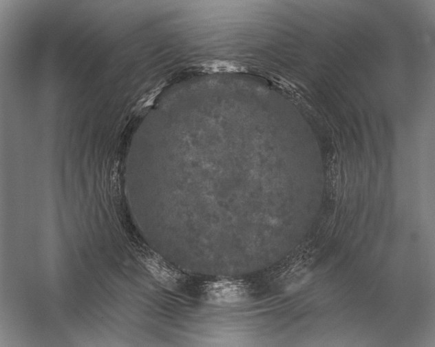 X0000060220511200510281111