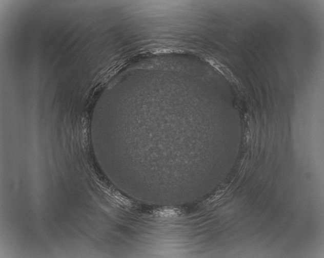 X0000060220513200510281111