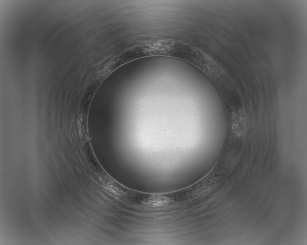 X0000060220514200510281111