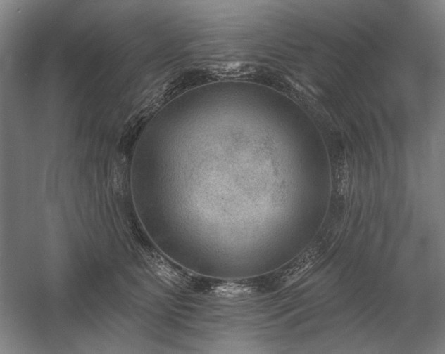 X0000060220515200510281111