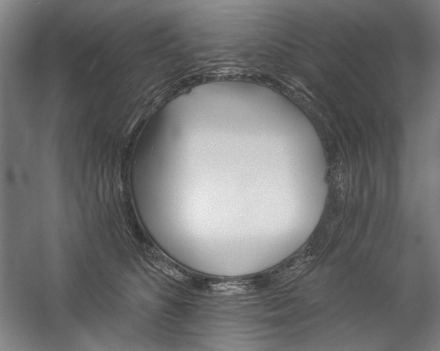 X0000060220516200510281111