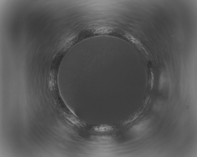 X0000060220517200510281111