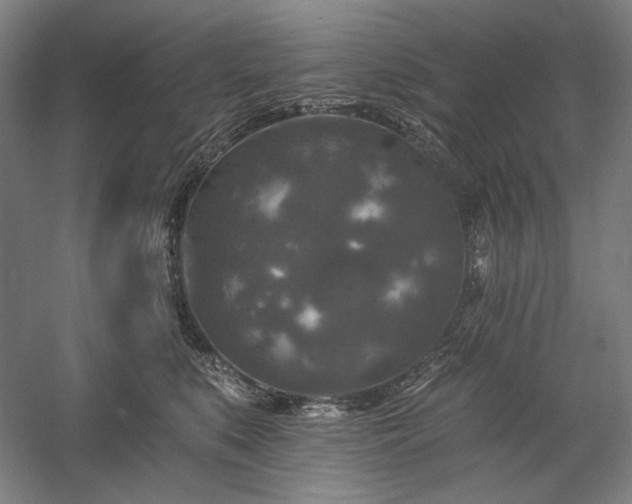 X0000060220519200510281111