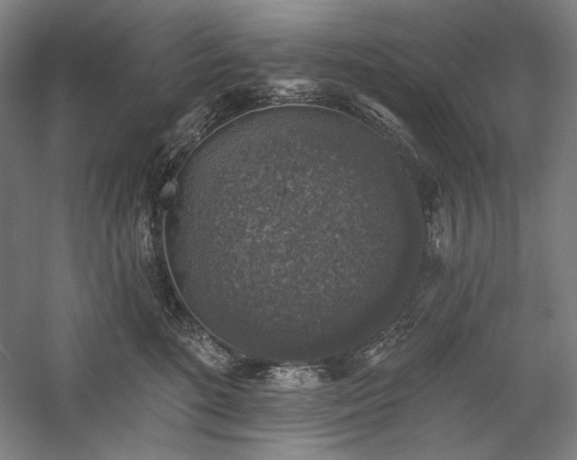 X0000060220520200510281111