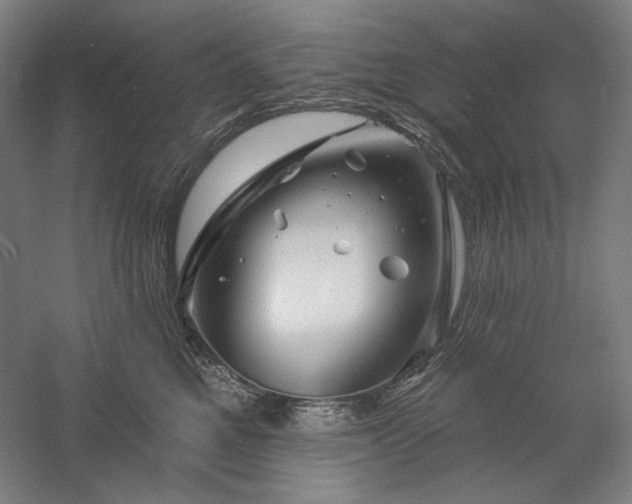 X0000060220521200510281111