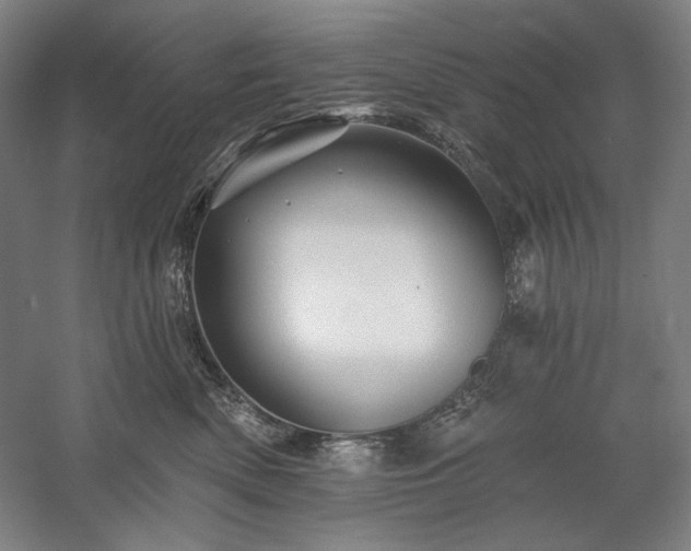 X0000060220522200510281111