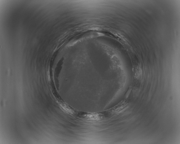 X0000060220524200510281111