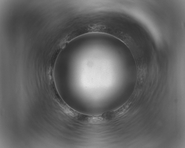 X0000060220525200510281111