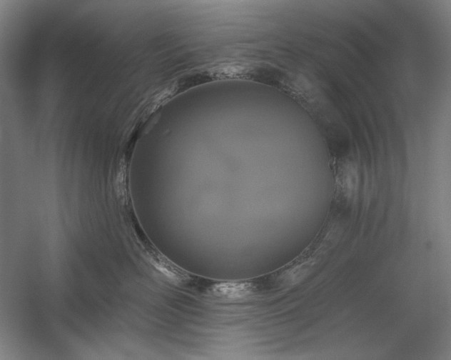 X0000060220526200510281111