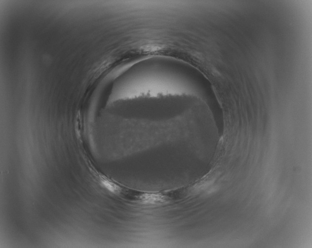 X0000060220528200510281111