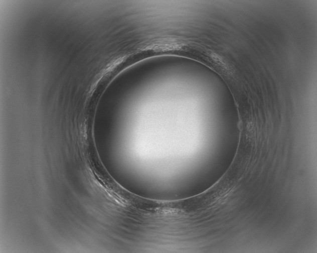 X0000060220539200510281110