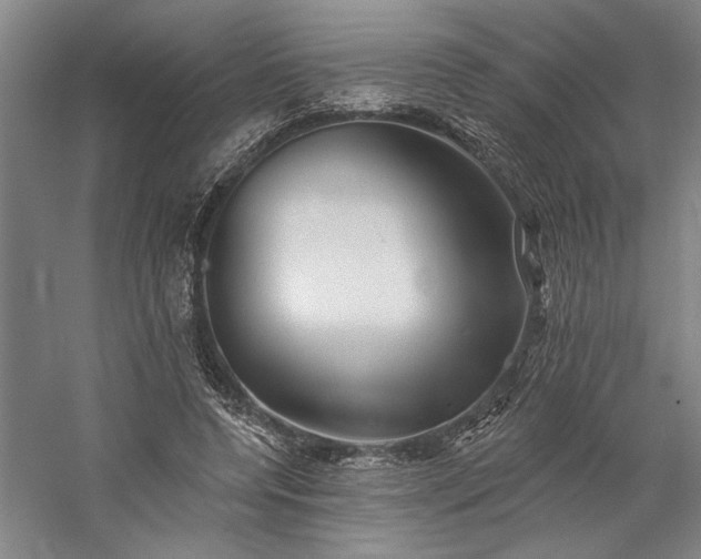 X0000060220544200510281110