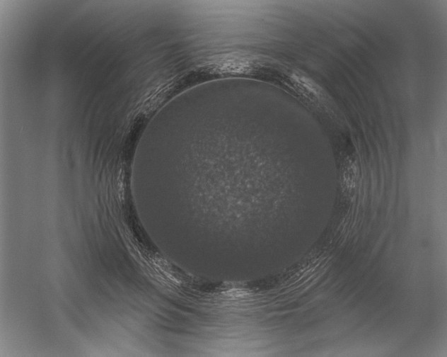 X0000060220551200510281110