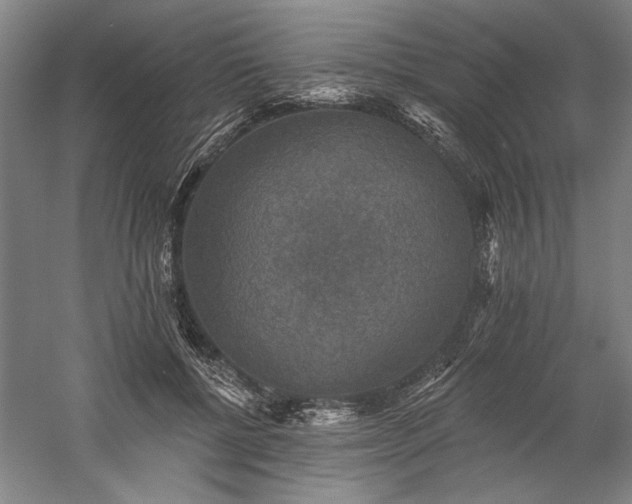 X0000060220552200510281110