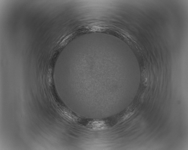 X0000060220554200510281111