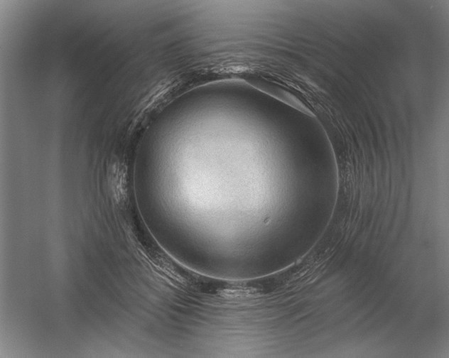 X0000060220556200510281111