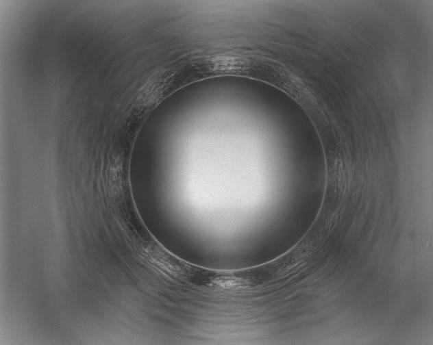 X0000060220557200510281111