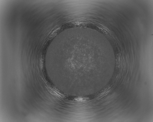 X0000060220558200510281111