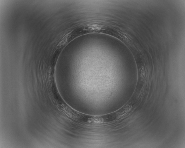 X0000060220559200510281111