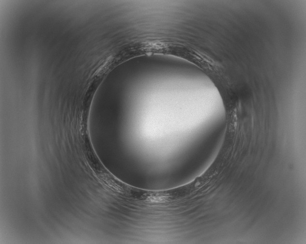 X0000060220560200510281111