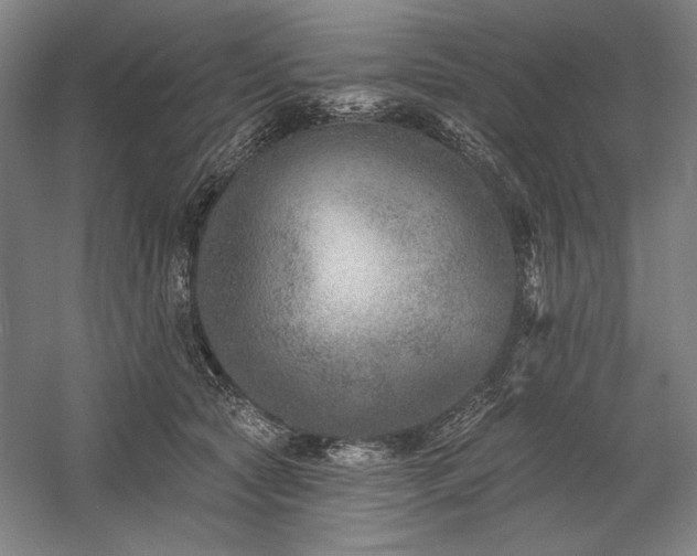 X0000060220561200510281111