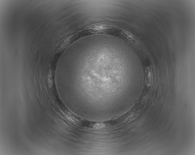 X0000060220562200510281111