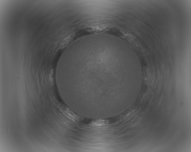 X0000060220563200510281111