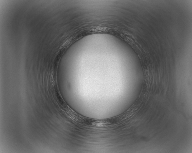 X0000060220564200510281111