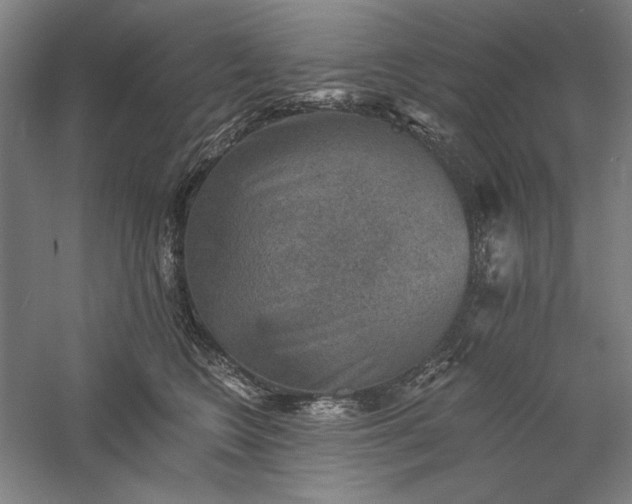 X0000060220566200510281111