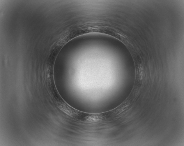 X0000060220567200510281111