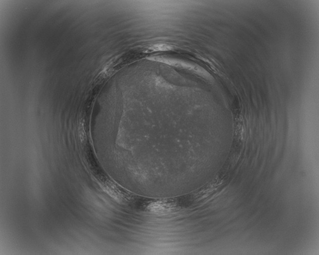 X0000060220568200510281111