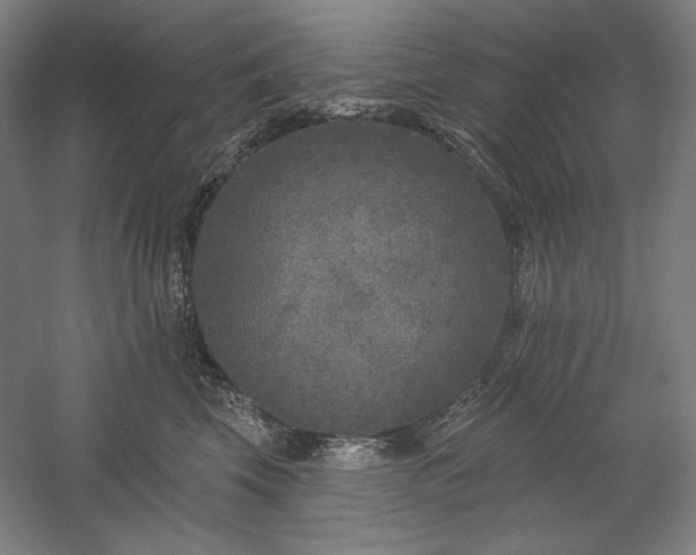 X0000060220569200510281111