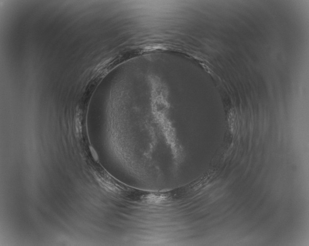 X0000060220570200510281111