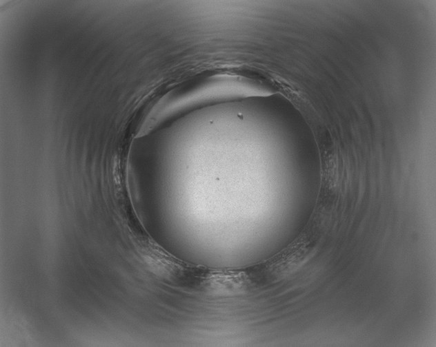 X0000060220571200510281111