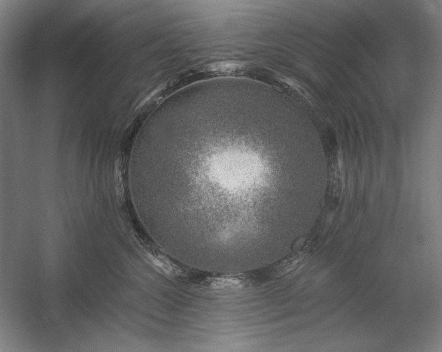 X0000060220572200510281111