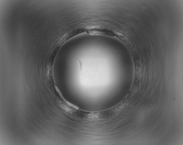 X0000060220574200510281111