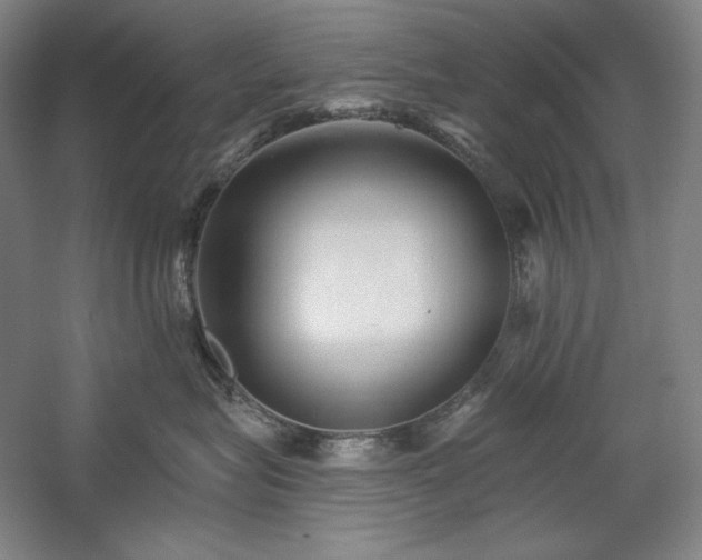 X0000060220575200510281111