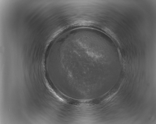 X0000060220581200510281110