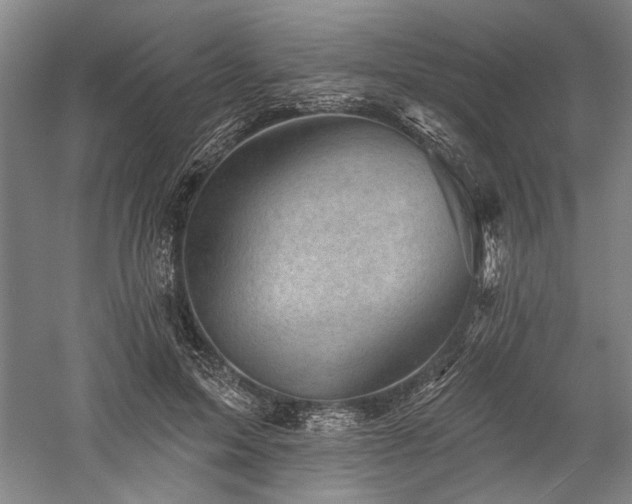 X0000060220599200510281110