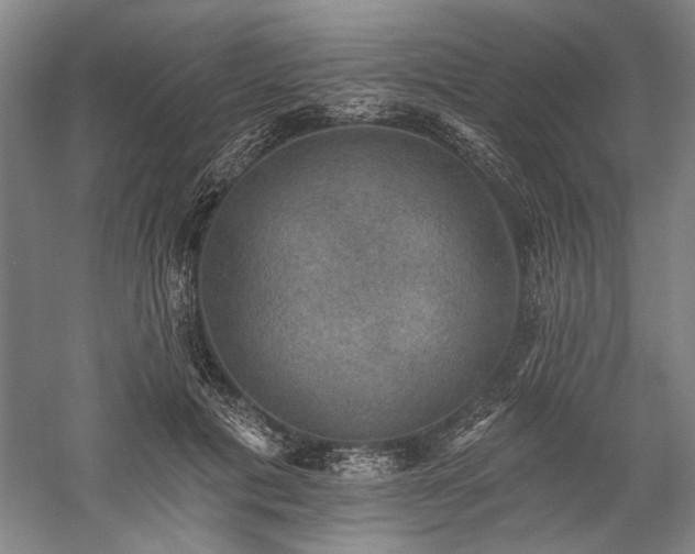 X0000060220601200510281110