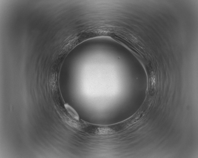 X0000060220605200510281110
