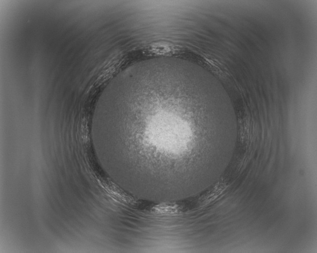 X0000060220606200510281110