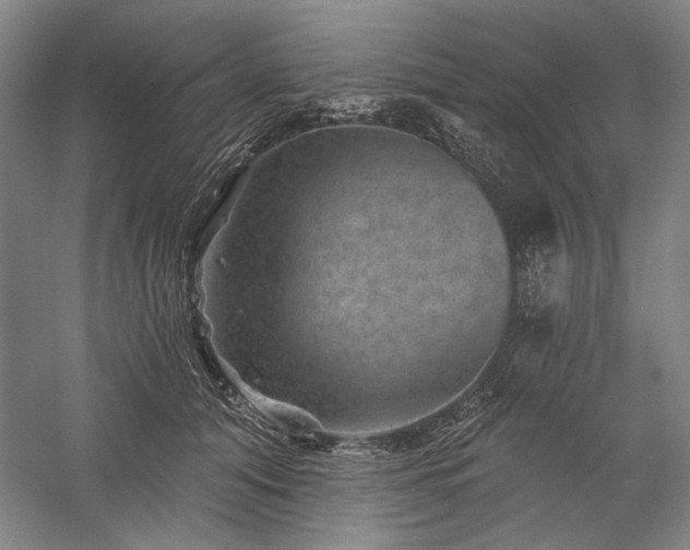X0000060220608200510281110