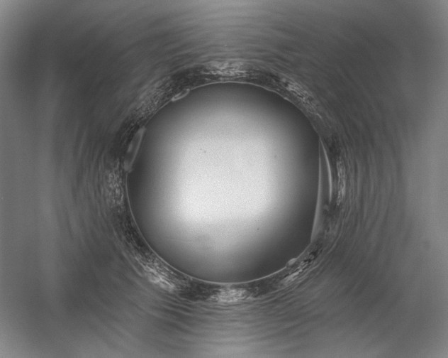 X0000060220609200510281110