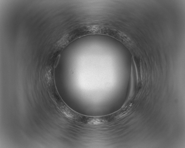 X0000060220611200510281109