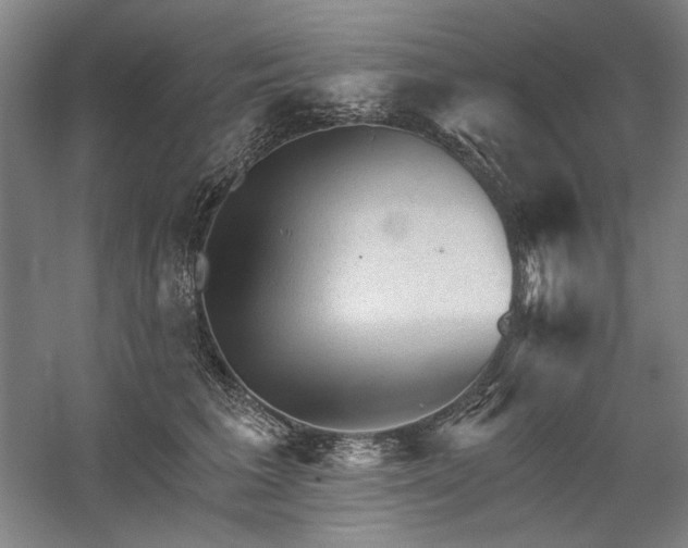 X0000060220613200510281109
