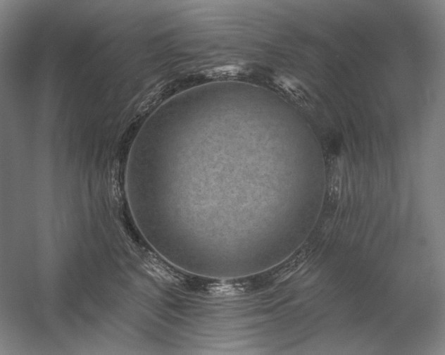 X0000060220616200510281109